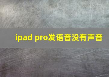 ipad pro发语音没有声音